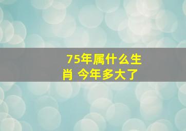 75年属什么生肖 今年多大了